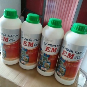 BEST EM - CHẾ PHẨM SINH HỌC EM GỐC 