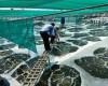 THĂM VÙNG NUÔI KHÁCH HÀNG  TẠI BẠC LIÊU 05/2020