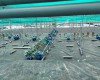 THĂM VÙNG NUÔI KHÁCH HÀNG  TẠI BẠC LIÊU 05/2020