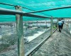 THĂM VÙNG NUÔI KHÁCH HÀNG  TẠI BẠC LIÊU 05/2020