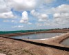 THĂM VÙNG NUÔI KHÁCH HÀNG  TẠI BẠC LIÊU 05/2020