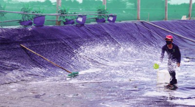 Quy chuẩn kỹ thuật quốc gia về Sản phẩm xử lý môi trường nuôi trồng thủy sản: Hỗn hợp khoáng (premix