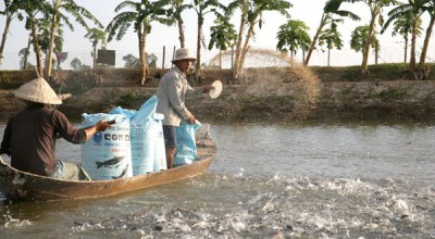 Sử dụng hóa chất trong nuôi trồng thủy sản