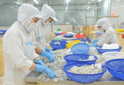XNK THUỶ SẢN ĐÔNG LẠNH